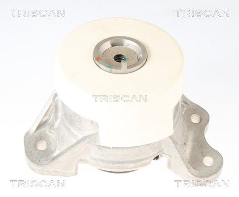 окачване, двигател TRISCAN
