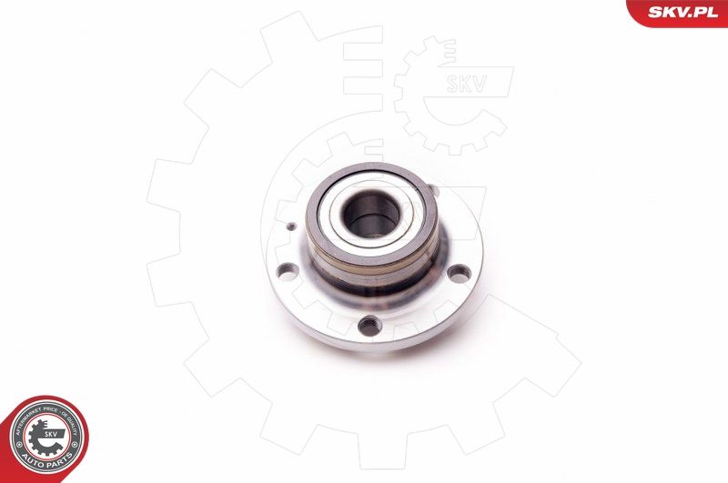 ESEN SKV 29SKV006 Wheel Bearing Kit