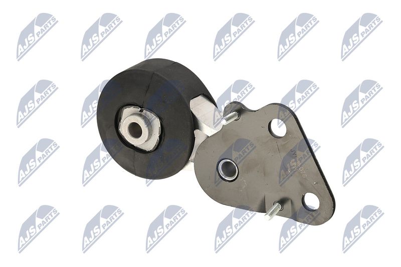 Paigutus, Mootor, NTY ZPS-CH-075