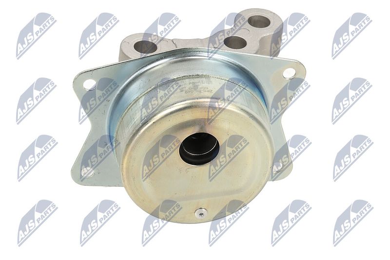 Paigutus, Mootor, NTY ZPS-PL-049