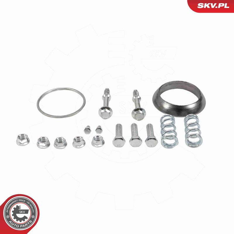 ESEN SKV 62SKV160 Catalytic Converter