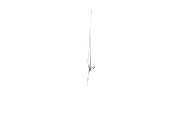 KS TOOLS 300.0618 Feeler Gauge