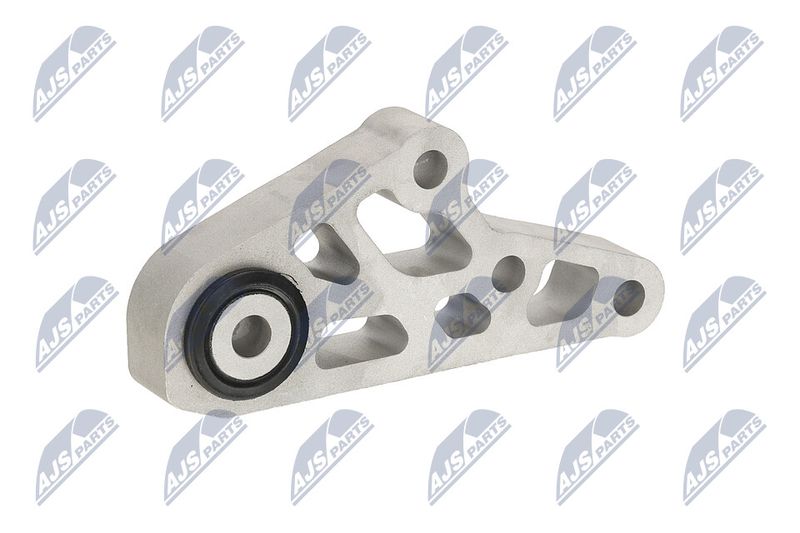 Paigutus, Mootor, NTY ZPS-CH-119