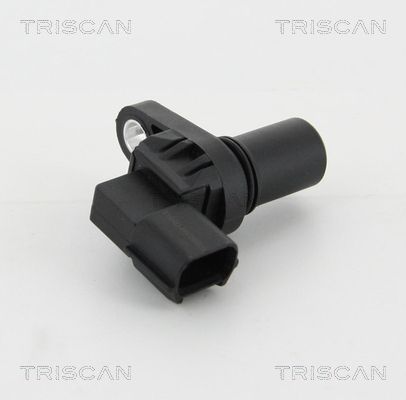 TRIS886550105.JPG