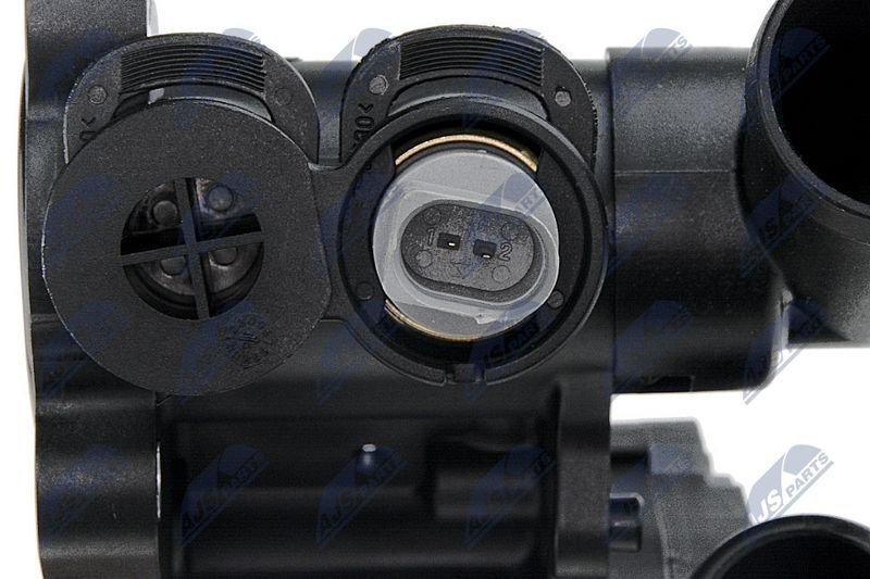 ctm-vw-029_7-wm.JPG