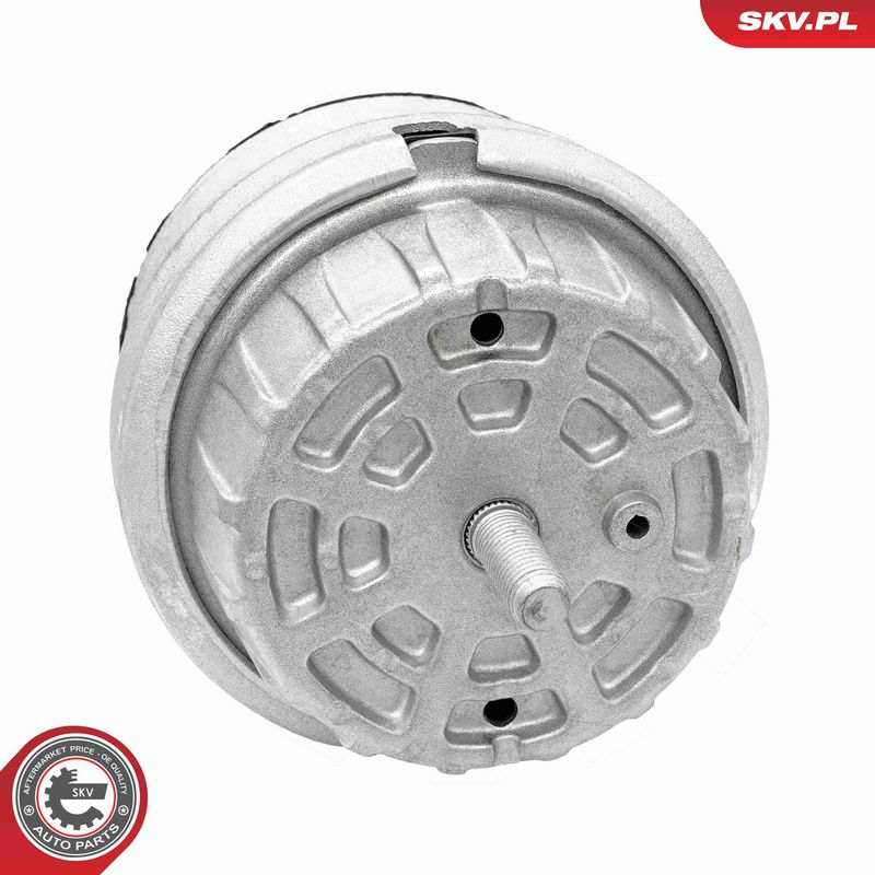 Paigutus, Mootor, ESEN SKV 75SKV295