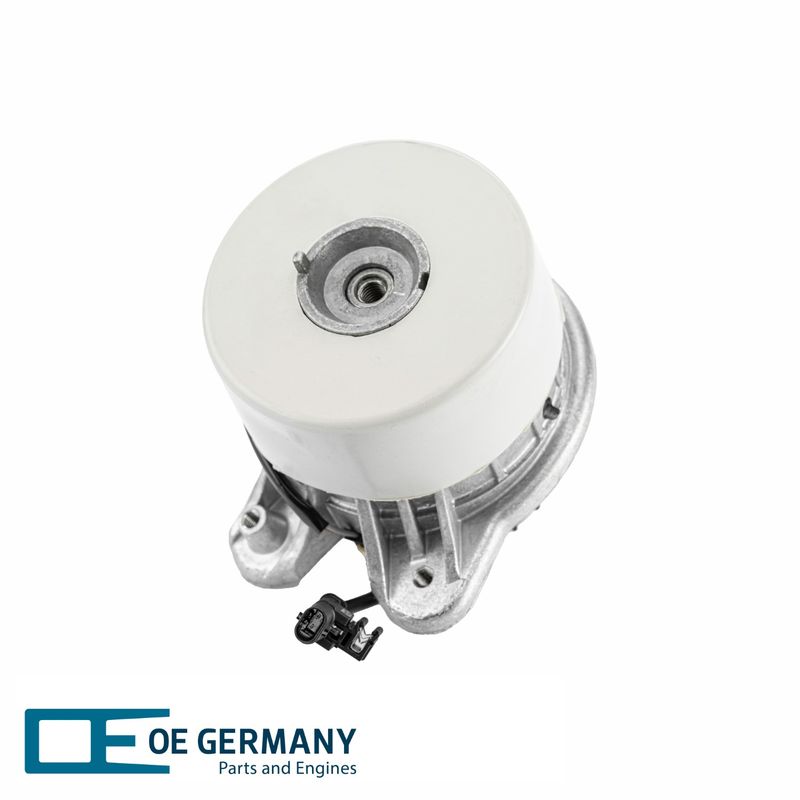 801027-1-V1-OEG.JPG