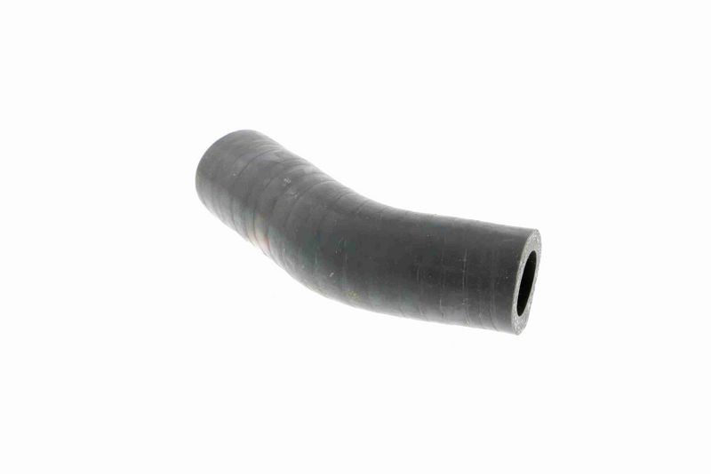 VAICO V24-0631 Charge Air Hose