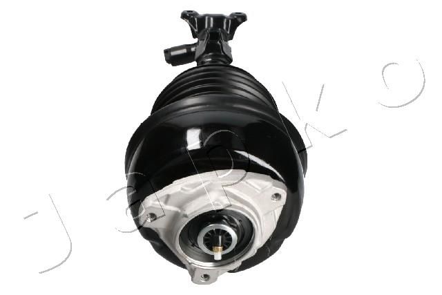 MJAS218_2.JPG