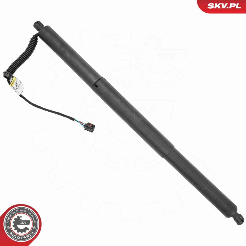 ESEN SKV 52SKV994 Electric Motor, tailgate