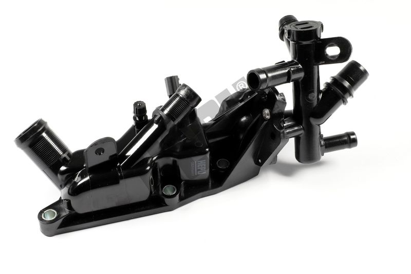 TM1091 (2).JPG