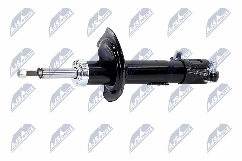 Amort, NTY A-NS-016