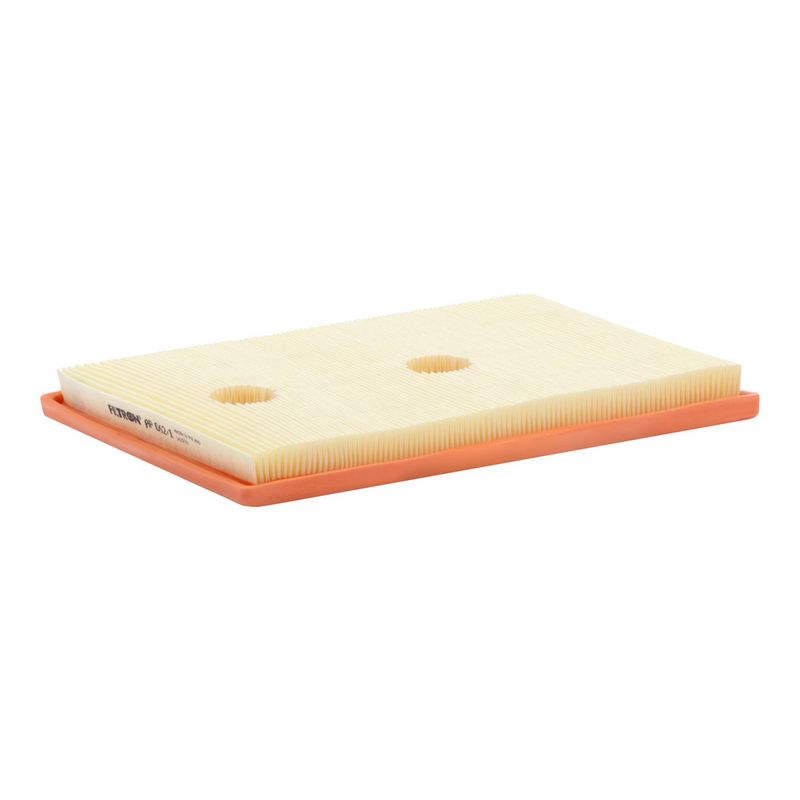 Õhufilter, FILTRON AP 062, 1