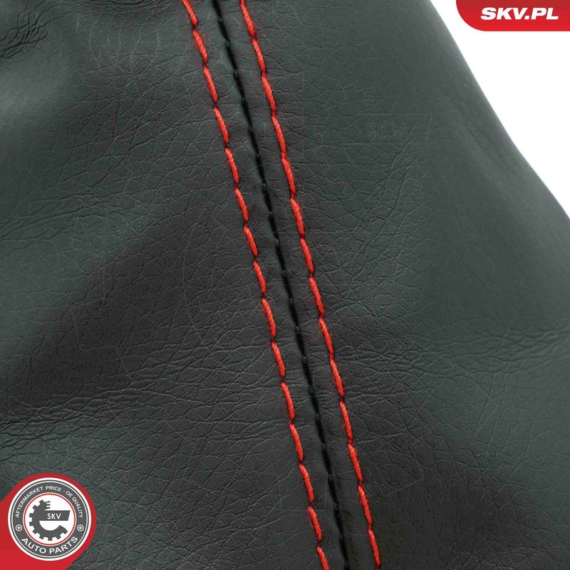 Käigukanginupp, ESEN SKV 63SKV488