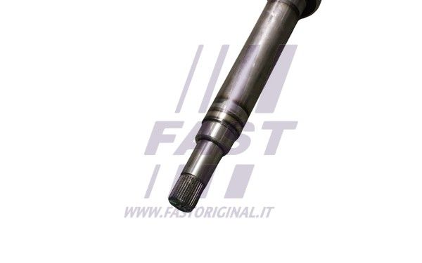 FT27192_3_1.JPG