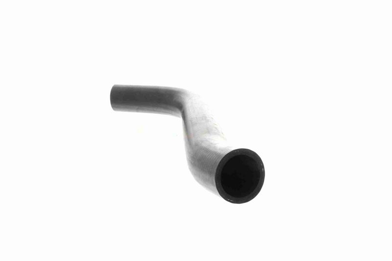 VAICO V30-0729 Radiator Hose