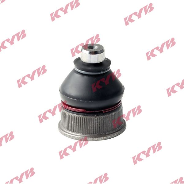 KYB-KBJ4404.JPG