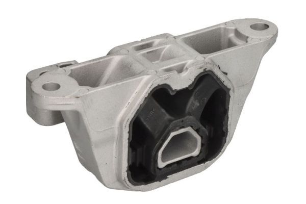 REINHOCH RH11-0172 Mounting, engine