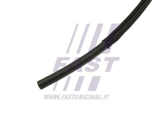 FT39619_3_1.JPG