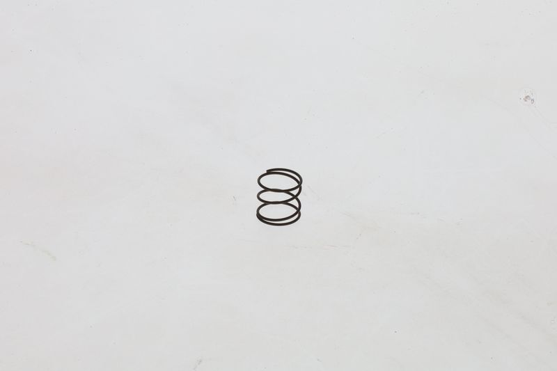 BOSCH 1464610363 Spring