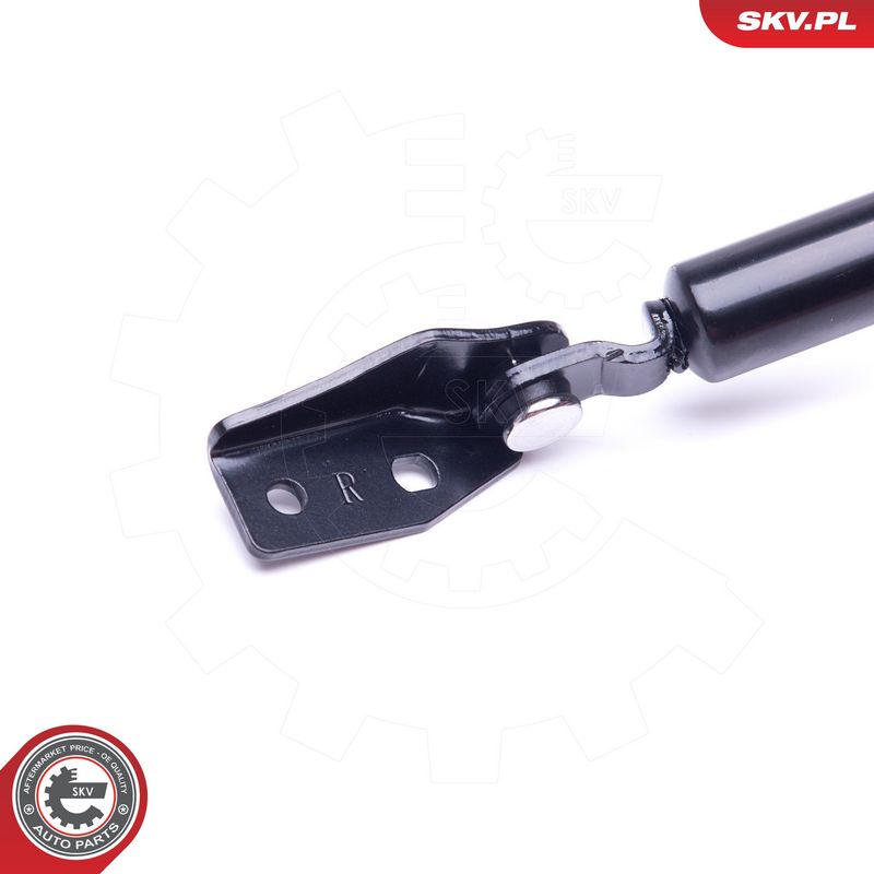 Gaasivedru, pagasi-, veoruum, ESEN SKV 52SKV412