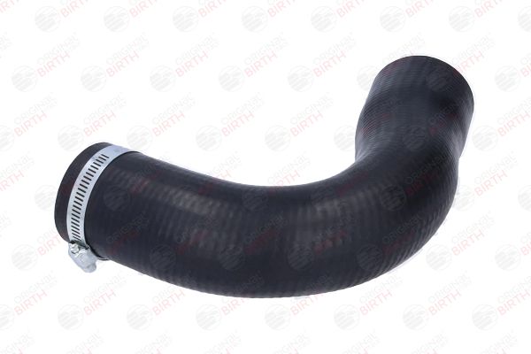 BIRTH 55956 Charge Air Hose