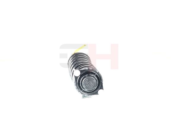 Vedruamort, GH GH-334403C01