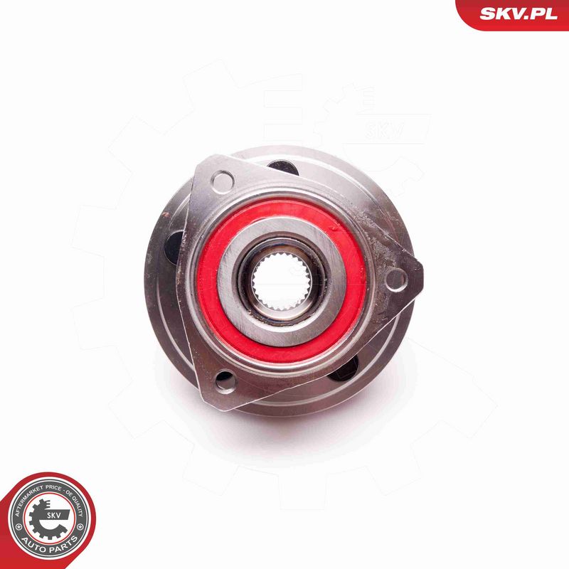 ESEN SKV 29SKV133 Wheel Bearing Kit
