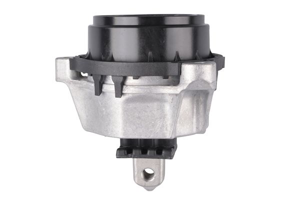 TEDGUM TED57417 Mounting, engine