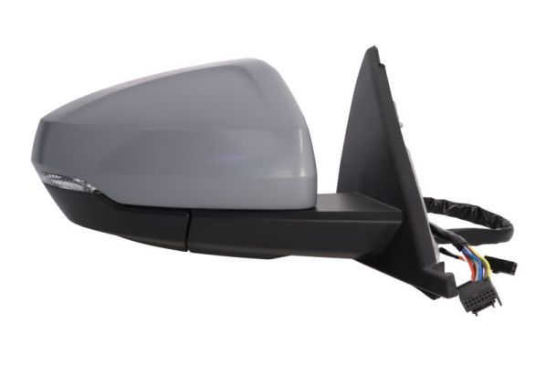 BLIC 5402-25-2205317P Exterior Mirror