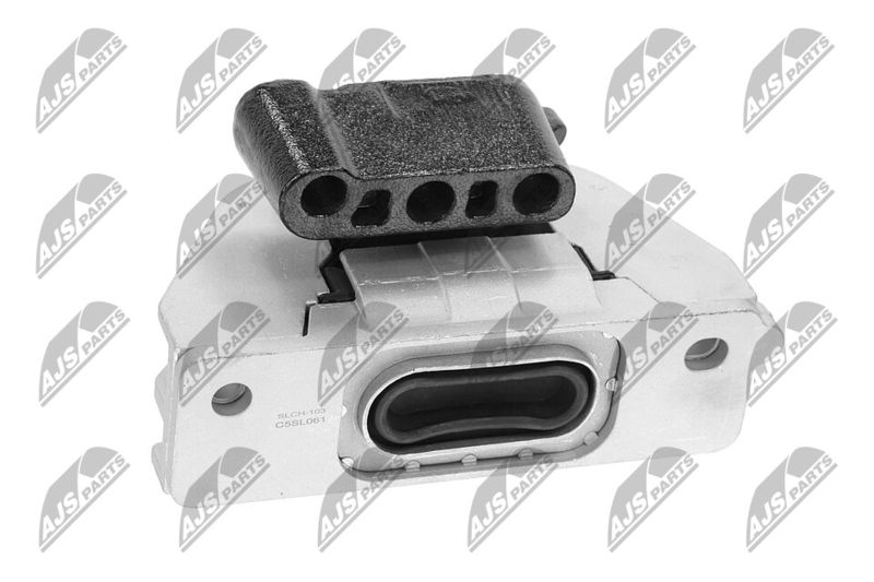 Paigutus, Mootor, NTY ZPS-CH-103