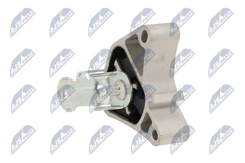 Paigutus, Mootor, NTY ZPS-ME-054