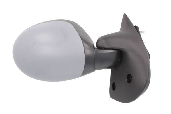 BLIC 5402-09-2002216P Exterior Mirror