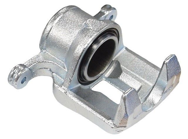 CALIPER_9296655_03.JPG