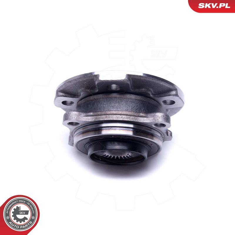 Rattalaagrikomplekt, ESEN SKV 29SKV366