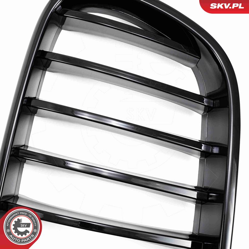 ESEN SKV 66SKV248 Radiator Grille