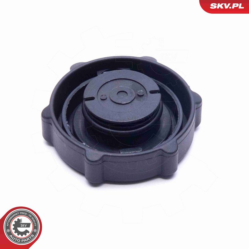 ESEN SKV 61SKV029 Seal Ring, power steering pump blanking plug
