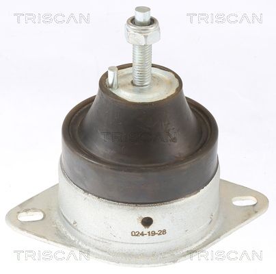 TRISCAN felfüggesztés, motor 8505 10119