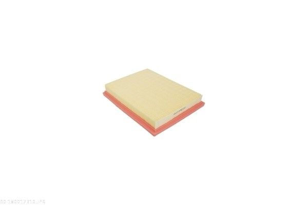 AUTOMEGA 180017310 Air Filter