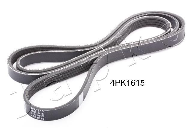 4PK1615_1.JPG