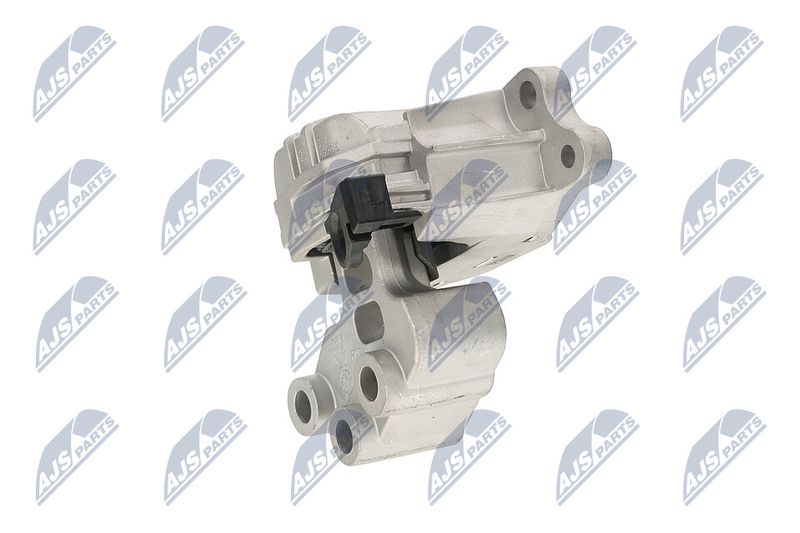 Paigutus, Mootor, NTY ZPS-CH-164