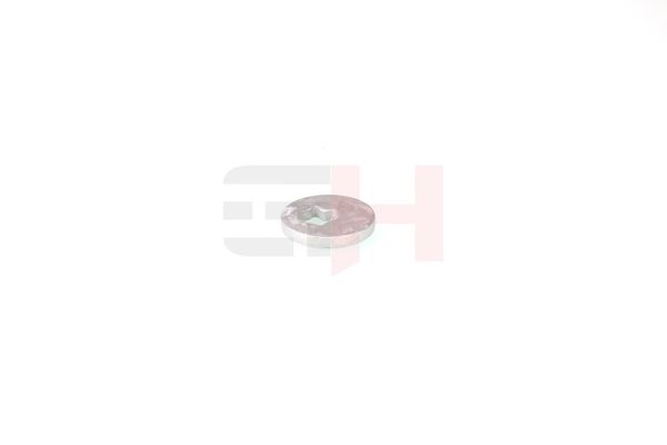 caster shim, sillatala, GH GH-391583