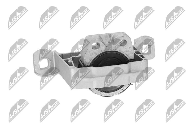 Paigutus, Mootor, NTY ZPS-FR-045