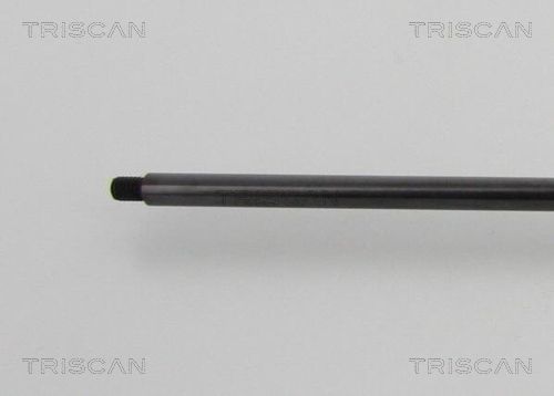TRIS8710819488100_3.JPG