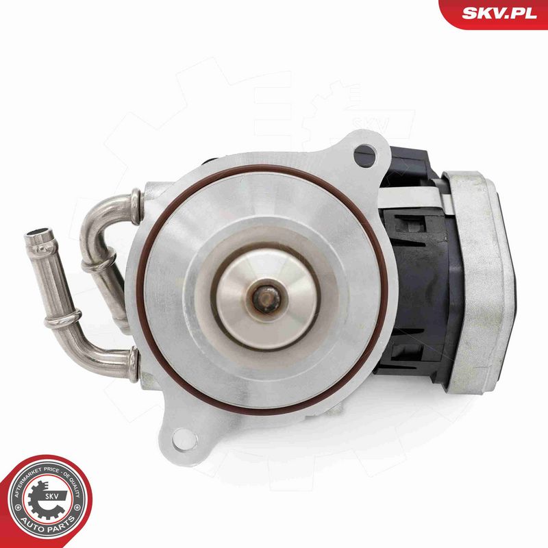 ESEN SKV 14SKV255 EGR Valve