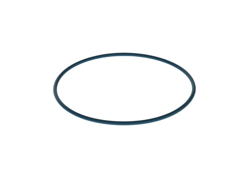 Inel cauciuc F 00N 204 104 BOSCH