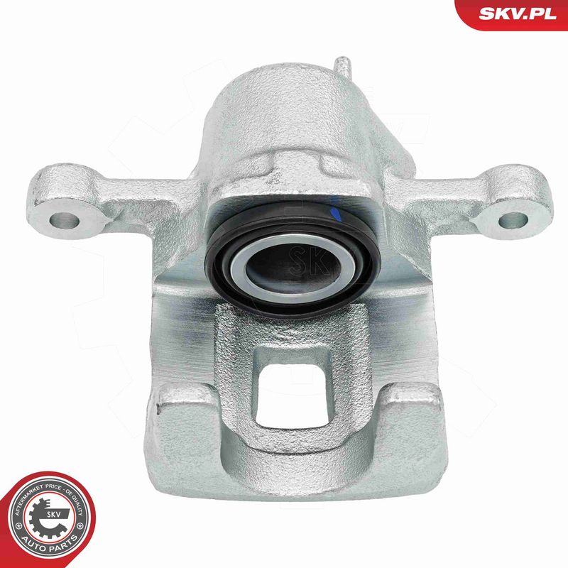 Pidurisadul, ESEN SKV 79SKV603