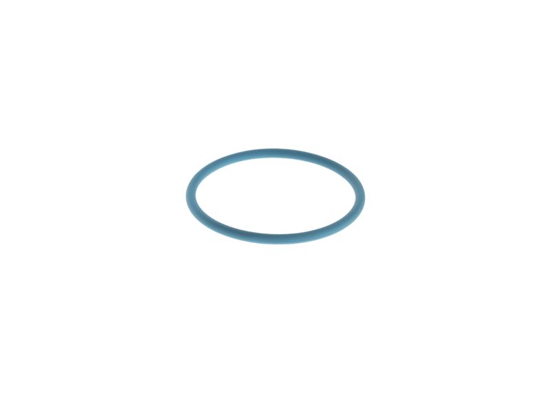BOSCH F 00H N35 737 Rubber Ring