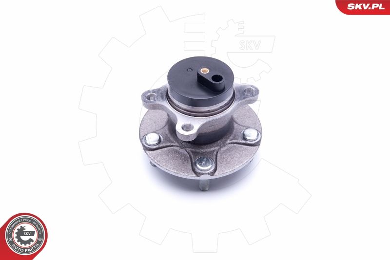 ESEN SKV 29SKV277 Wheel Bearing Kit