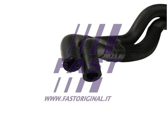 FT61109_2_1.JPG